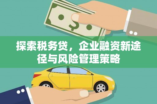 吴桥探索税务贷，企业融资新途径与风险管理策略