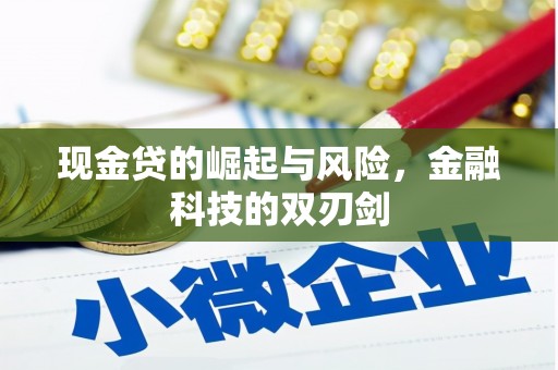 吴桥现金贷的崛起与风险，金融科技的双刃剑
