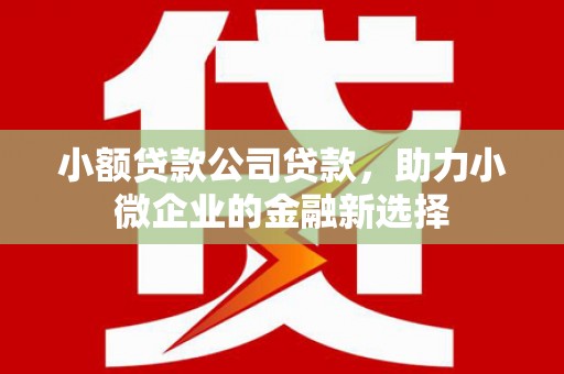 吴桥小额贷款公司贷款，助力小微企业的金融新选择