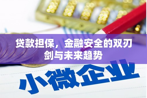 吴桥贷款担保，金融安全的双刃剑与未来趋势