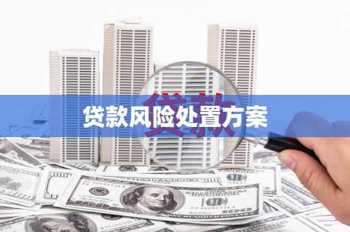 吴桥贷款风险处置方案