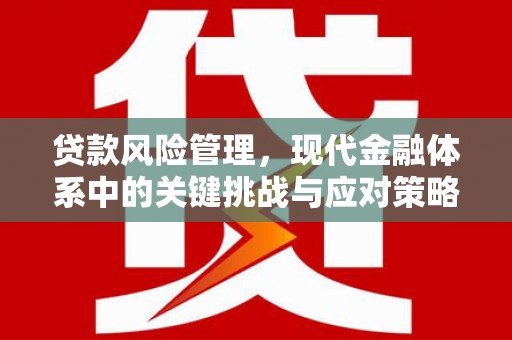 吴桥贷款风险管理，现代金融体系中的关键挑战与应对策略