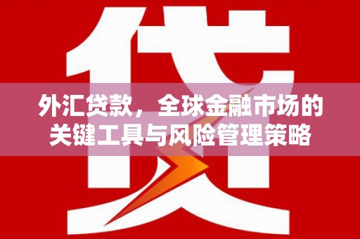 吴桥外汇贷款，全球金融市场的关键工具与风险管理策略