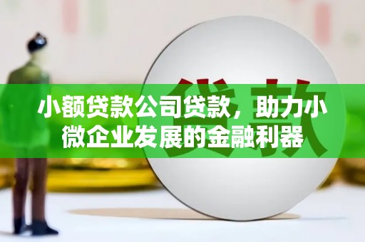 吴桥小额贷款公司贷款，助力小微企业发展的金融利器
