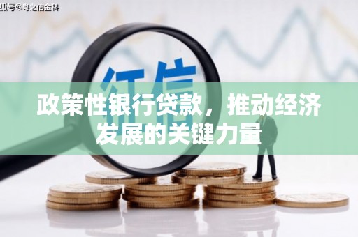 吴桥政策性银行贷款，推动经济发展的关键力量