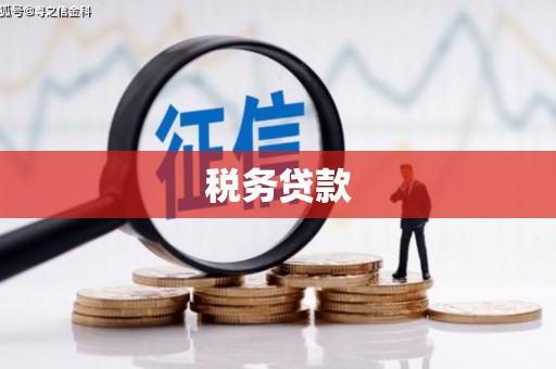 吴桥税务贷款