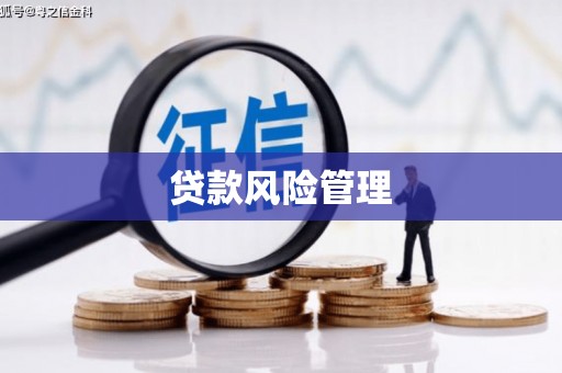 吴桥贷款风险管理