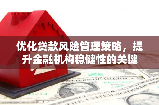 吴桥优化贷款风险管理策略，提升金融机构稳健性的关键