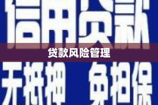吴桥贷款风险管理