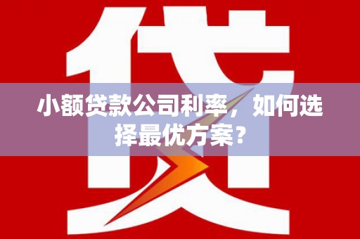 吴桥小额贷款公司利率，如何选择最优方案？