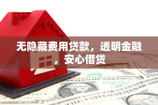 吴桥无隐藏费用贷款，透明金融，安心借贷