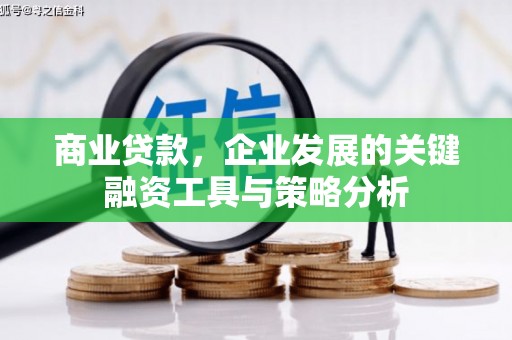吴桥商业贷款，企业发展的关键融资工具与策略分析