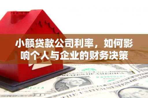吴桥小额贷款公司利率，如何影响个人与企业的财务决策