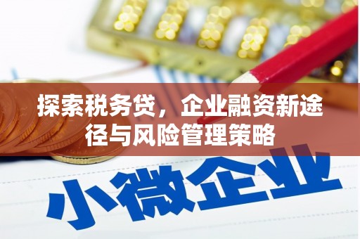 吴桥探索税务贷，企业融资新途径与风险管理策略