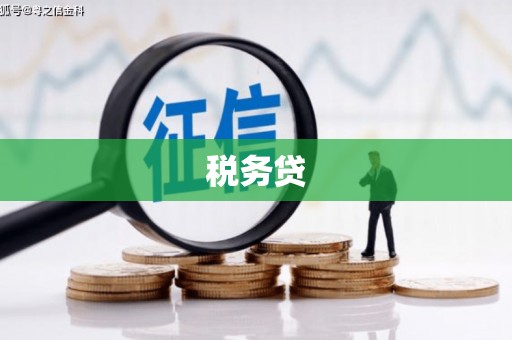 吴桥税务贷