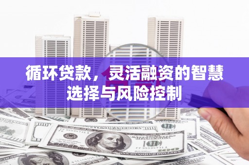 吴桥循环贷款，灵活融资的智慧选择与风险控制