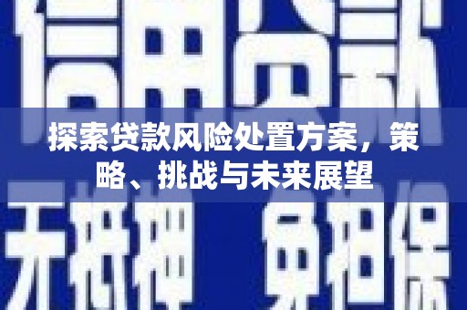 吴桥探索贷款风险处置方案，策略、挑战与未来展望