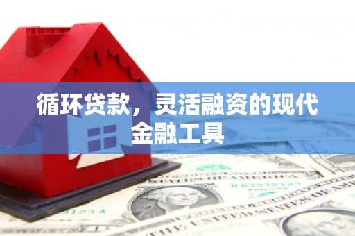 吴桥循环贷款，灵活融资的现代金融工具