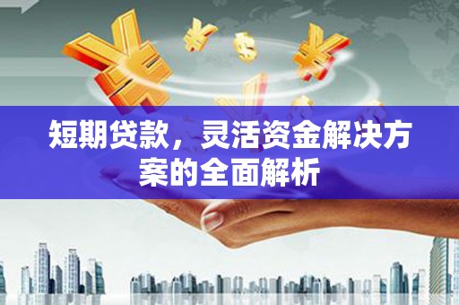 吴桥短期贷款，灵活资金解决方案的全面解析