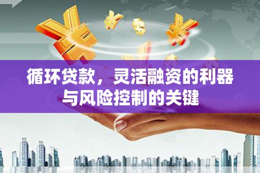 吴桥循环贷款，灵活融资的利器与风险控制的关键
