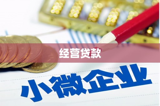 吴桥经营贷款