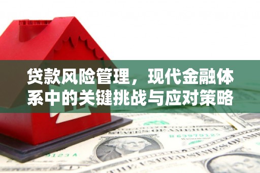吴桥贷款风险管理，现代金融体系中的关键挑战与应对策略