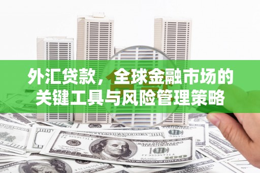 吴桥外汇贷款，全球金融市场的关键工具与风险管理策略