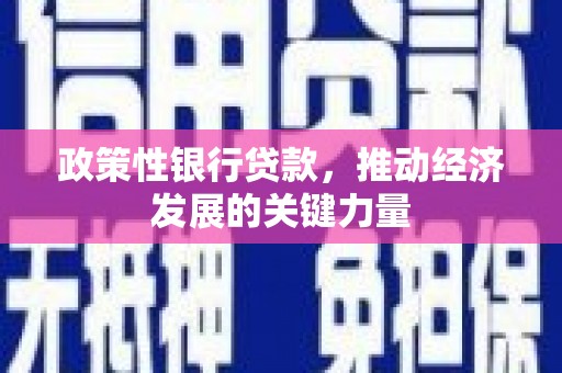 吴桥政策性银行贷款，推动经济发展的关键力量
