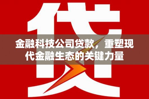 吴桥金融科技公司贷款，重塑现代金融生态的关键力量