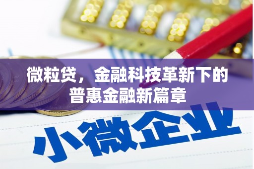 吴桥微粒贷，金融科技革新下的普惠金融新篇章