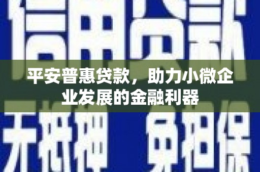 吴桥平安普惠贷款，助力小微企业发展的金融利器