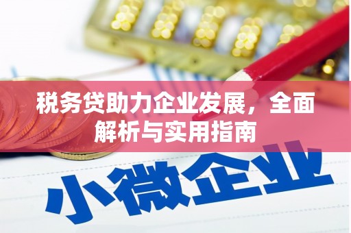 吴桥税务贷助力企业发展，全面解析与实用指南