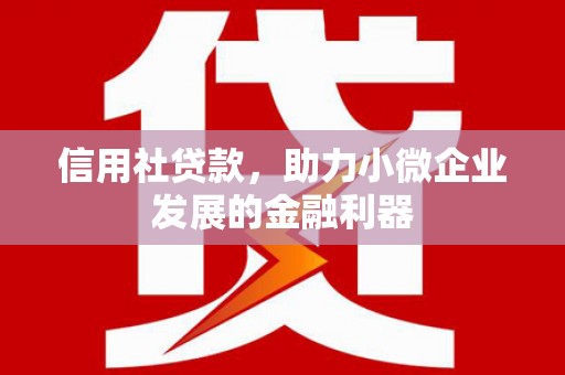 吴桥信用社贷款，助力小微企业发展的金融利器