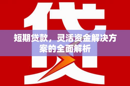吴桥短期贷款，灵活资金解决方案的全面解析