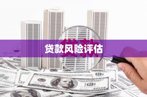 吴桥贷款风险评估
