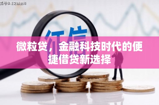 吴桥微粒贷，金融科技时代的便捷借贷新选择