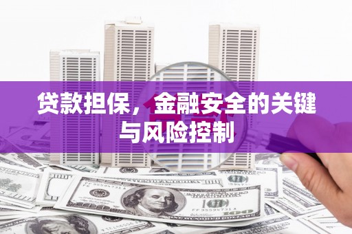 吴桥贷款担保，金融安全的关键与风险控制