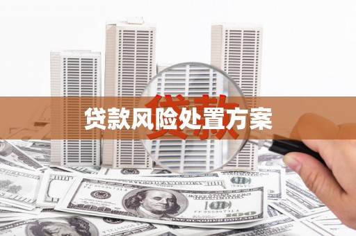 吴桥贷款风险处置方案
