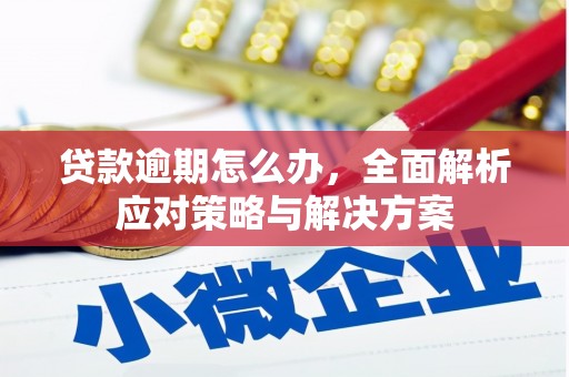 吴桥贷款逾期怎么办，全面解析应对策略与解决方案