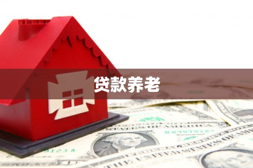吴桥贷款养老