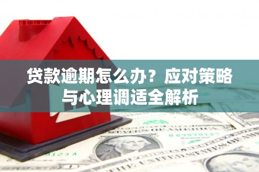 吴桥贷款逾期怎么办？应对策略与心理调适全解析