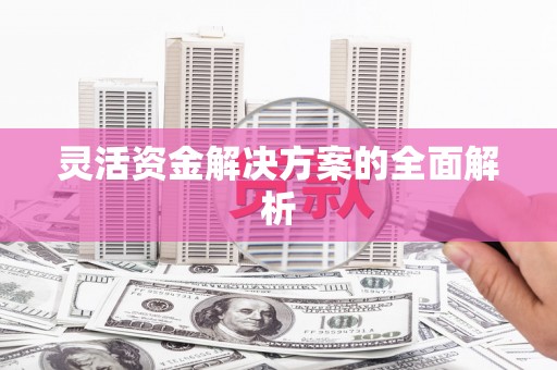 吴桥灵活资金解决方案的全面解析