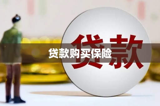 吴桥贷款购买保险