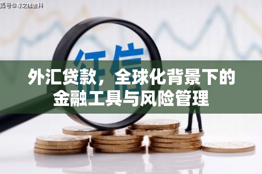 吴桥外汇贷款，全球化背景下的金融工具与风险管理