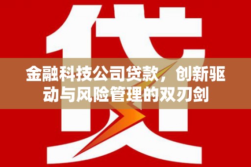 吴桥金融科技公司贷款，创新驱动与风险管理的双刃剑